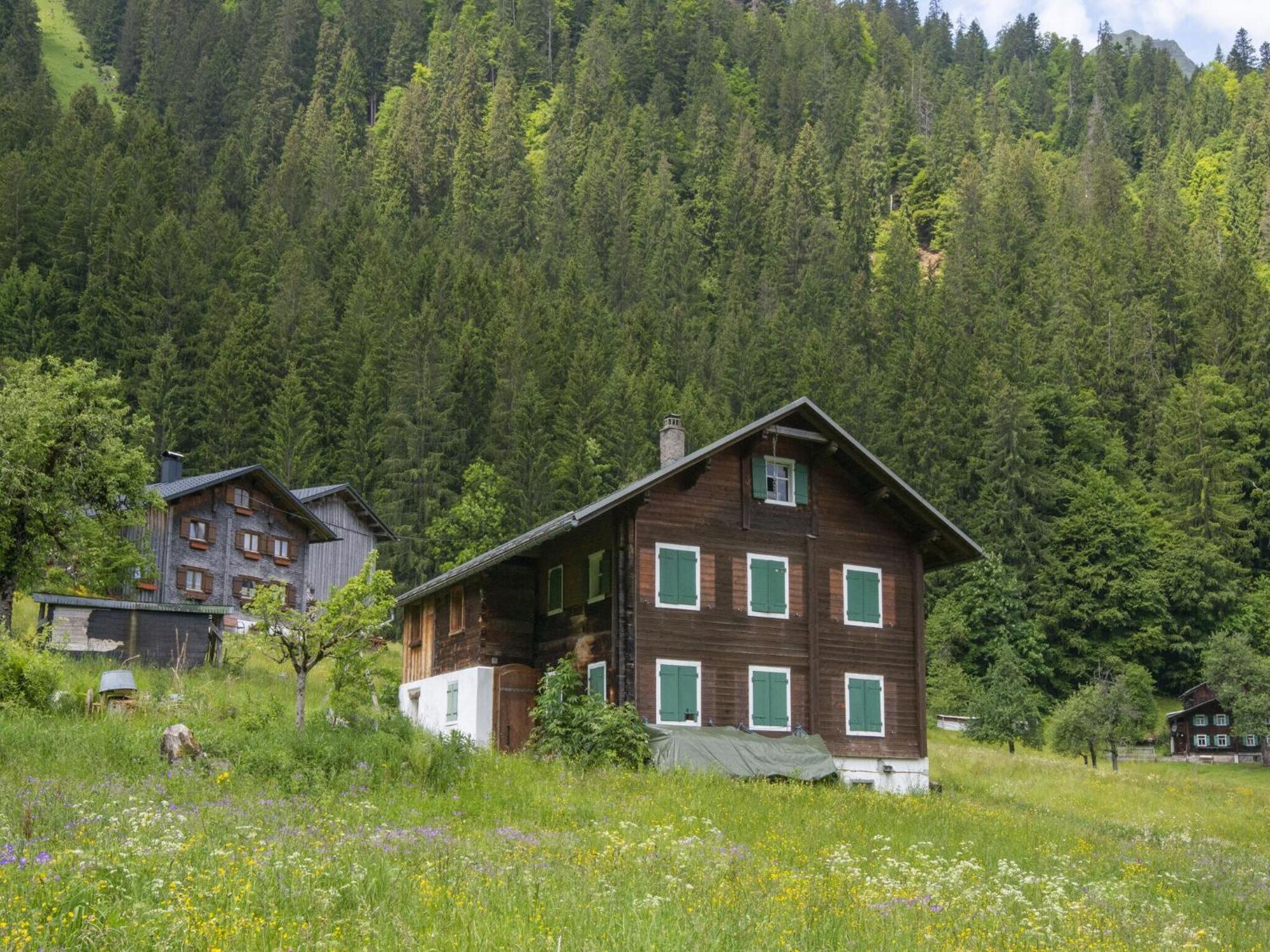 Holiday Home Near Ski Resort In St Gallenkirch Sankt Gallenkirch Extérieur photo